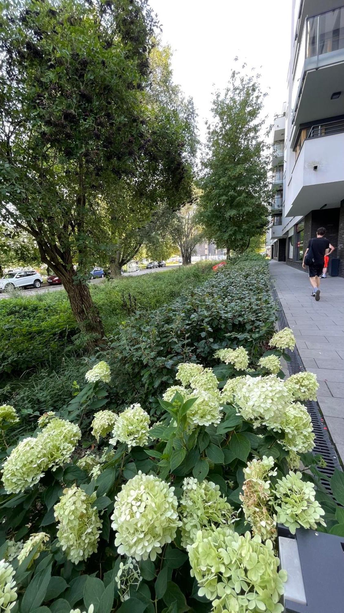 Apartamenty Warszawa Centrum Wlodarzewska 30 Exterior photo